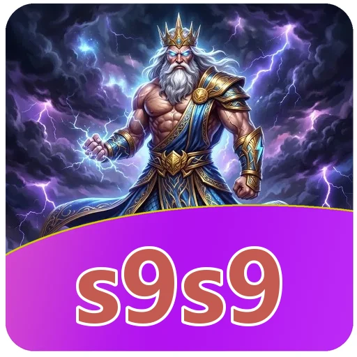Performa s9s9